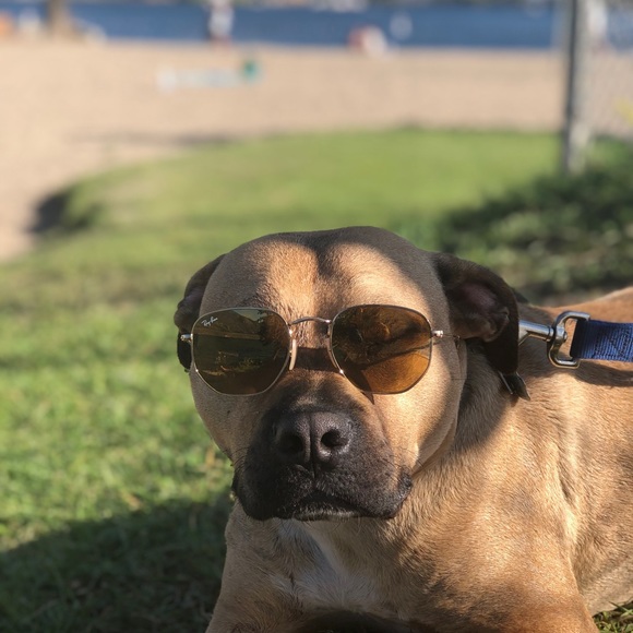 Meet your Posher, Kate - Picture 2 of 2